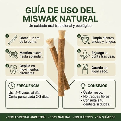Miswak para una sonrisa más cuidada